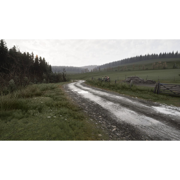Assetto Corsa Rally (ROW) 