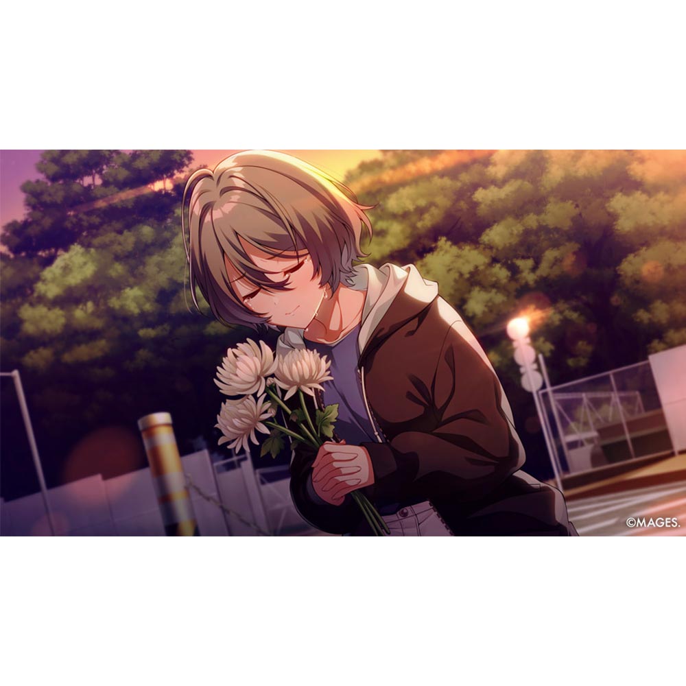 SINce Memories - Switch