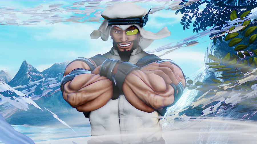 Street Fighter V Hits - PlayStation 4
