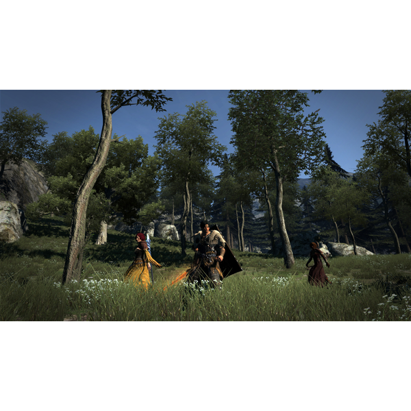 Dragon's Dogma: Dark Arisen
