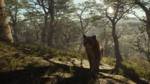 theHunter: Call of the Wild™ - Parque Fernando