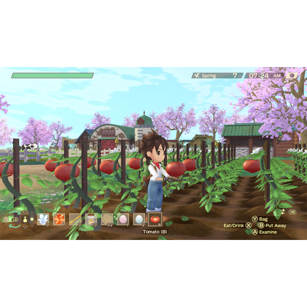 Story Of Season: A Wonderful Life