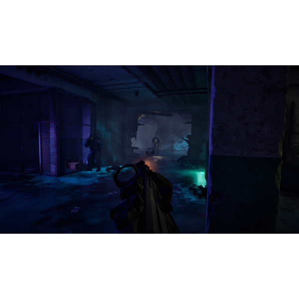 S.T.A.L.K.E.R. 2: Cost of Hope - PC Download