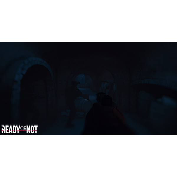 Ready or Not PC Download