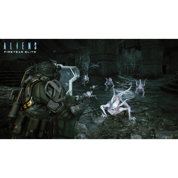 Aliens: Fireteam Elite - Into the Hive Edition