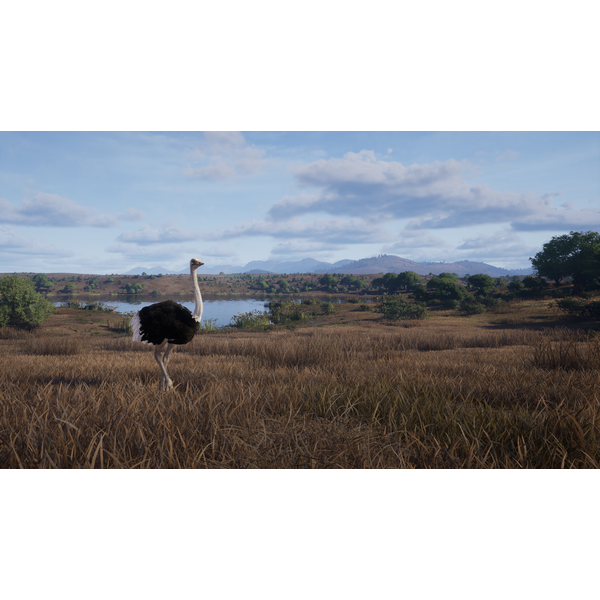 Way of the Hunter 2 (ROW) PC Download