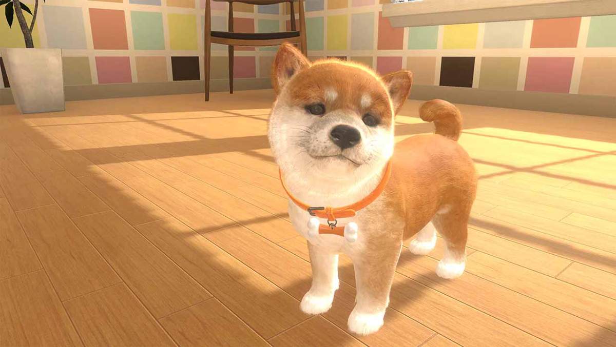 Little Friends: Dogs & Cats (Code in Box) - Switch