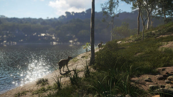 theHunter: Call of the Wild™ - Emerald Coast Austr