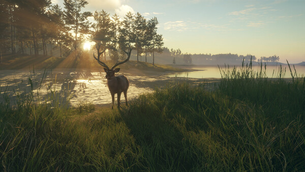 theHunter: Call of the Wild™ - Te Awaroa National Park