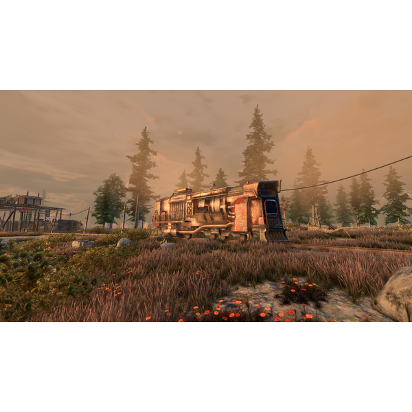 New Cycle - Supporter Pack