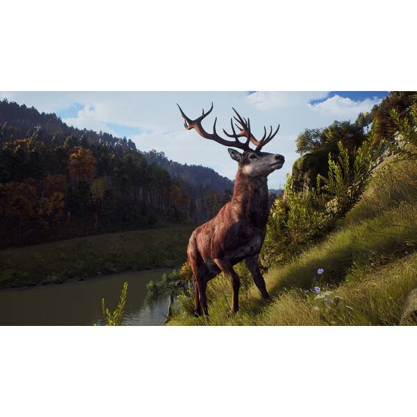 Way of the Hunter PC Download (ROW)