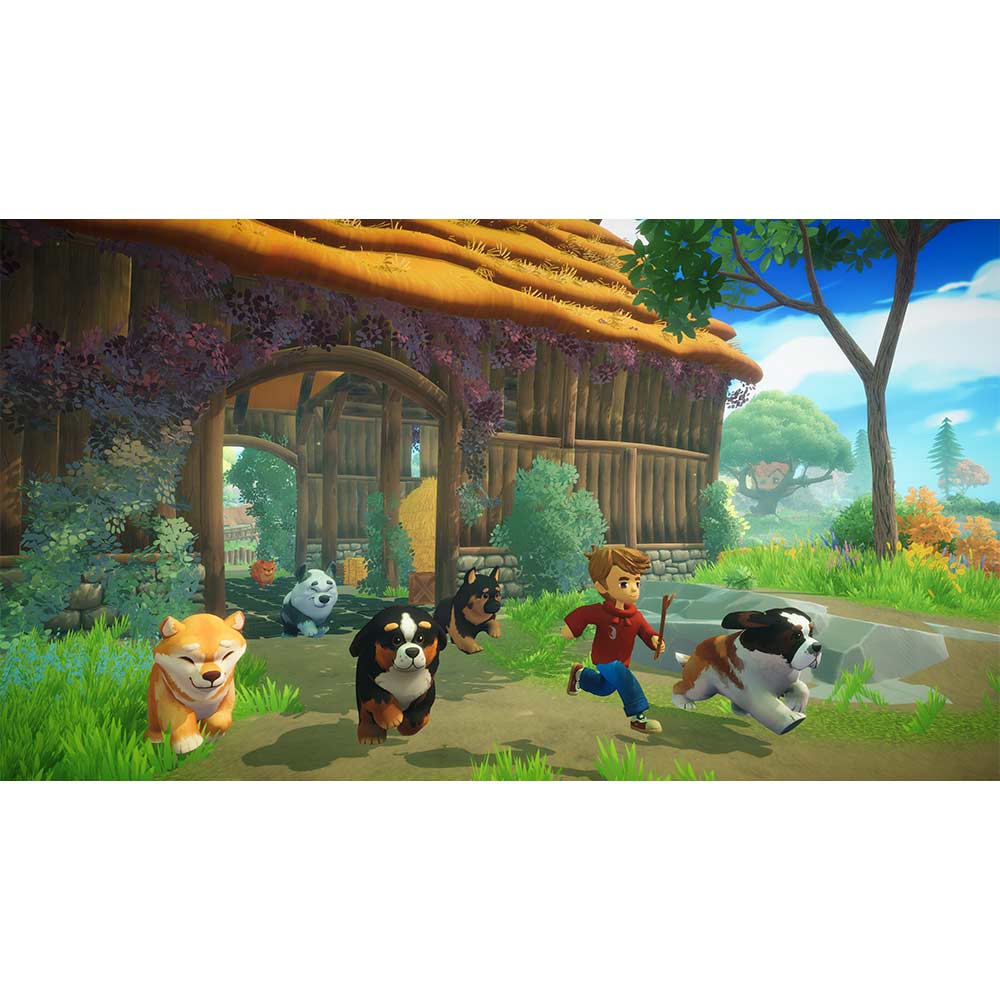 Everdream Valley - Switch