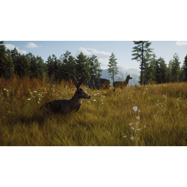 Way of the Hunter PC Download (ROW)