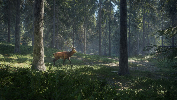 theHunter: Call of the Wild™