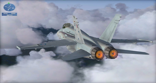 Microsoft Flight Simulator X: Steam Edition: Fair 