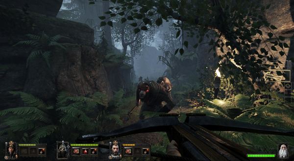 Warhammer: End Times - Vermintide Collector's