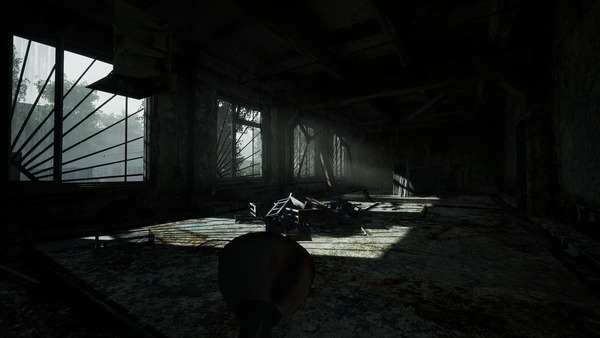 Chernobylite Enhanced Edition