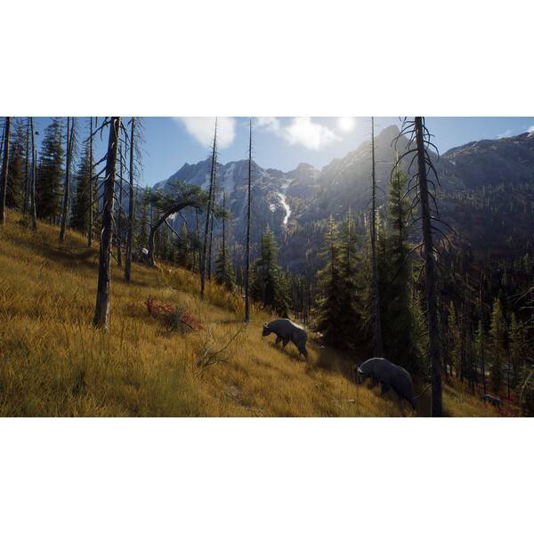 Way of the Hunter PC Download (ROW)