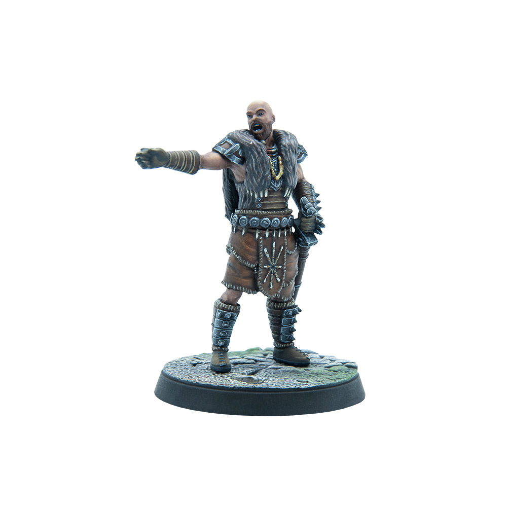 The Elder Scrolls Call to Arms 