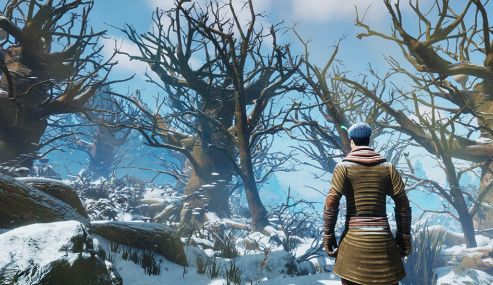 Smalland: Survive the Wilds - PS5