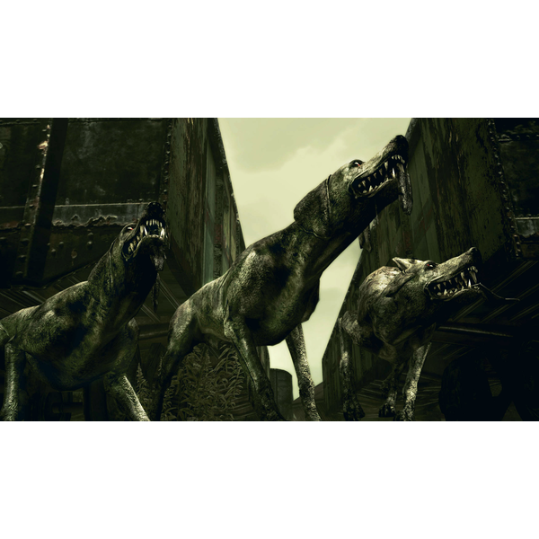 Resident Evil 5 Gold Edition