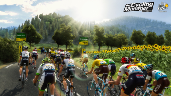 Pro Cycling Manager 2018 PC Download