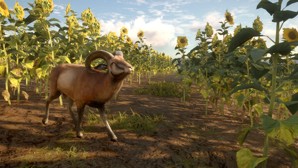 theHunter: Call of the Wild™ - Cuatro Colinas Game