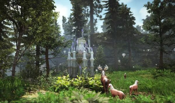 Black Desert Prestige Edition