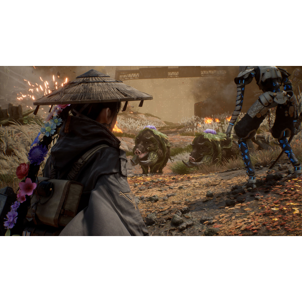 Beast of Reincarnation - Deluxe Edition (ROW) PC Download