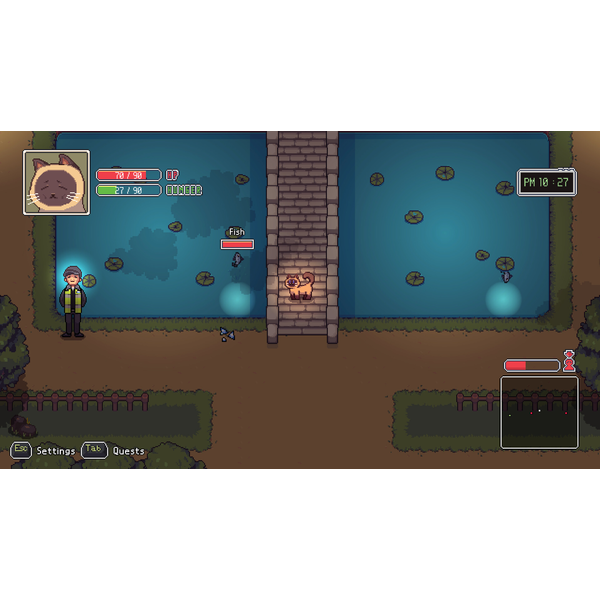 A Street Cat's Tale 2