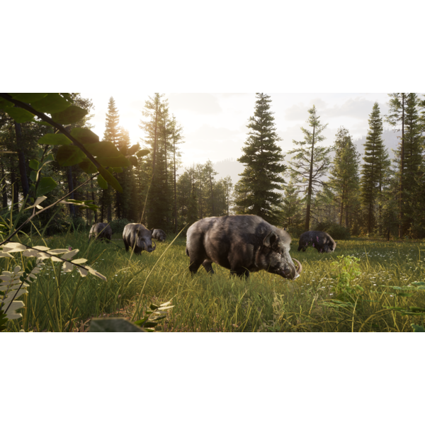 Way of the Hunter 2 (ROW) PC Download