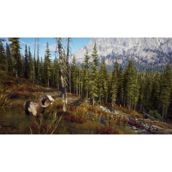 Way of the Hunter PC Download (ROW)