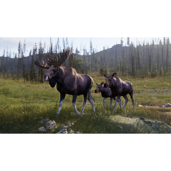Way of the Hunter 2 (ROW) PC Download