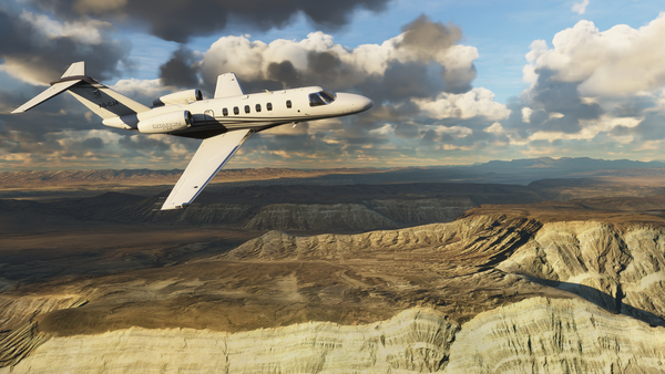 Microsoft Flight Simulator Download